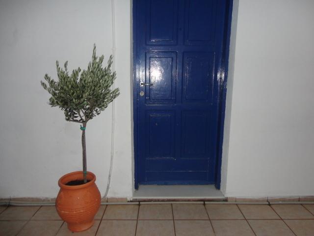 Pavlos Rooms Livadia  Exterior foto
